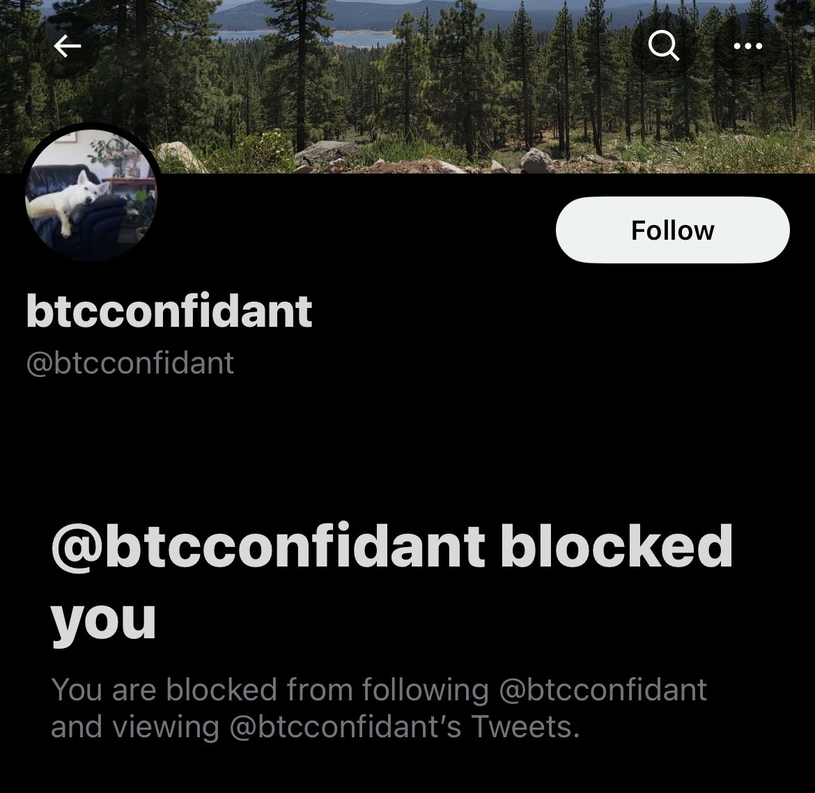 slackingoff3's tweet image. @btcconfident did the classic troll tactic of blocking and replying behind block to ask a question, knowing I can’t reply