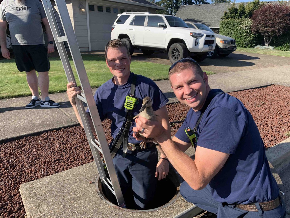 Just before 6 pm today a homeowner heard a mama duck crying on top of a storm drain on frontier Parkway in Oregon city , trying to get her ducklings. Clackamas Fire crews arrived and were able to recover and reunite her with her babies. #hereforyou