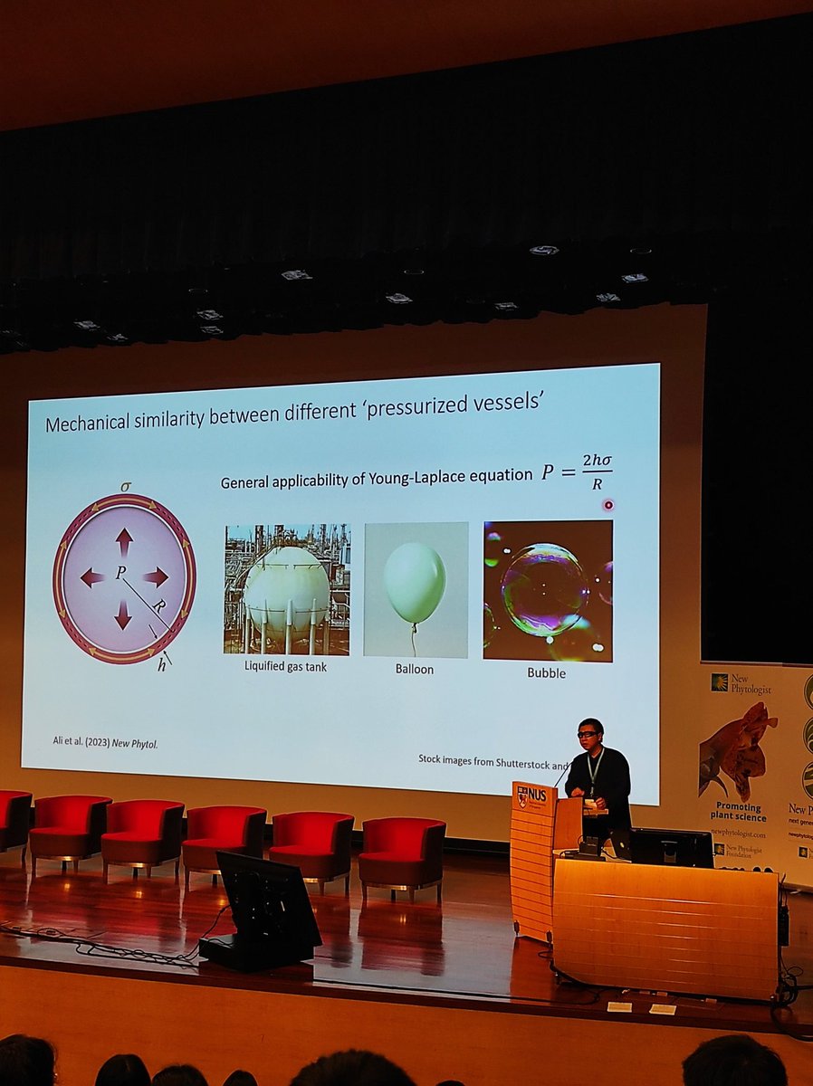 Yuchen Long <a href="/Lo28321839/">Yuchen Long 龙宇尘</a> kicking off the third day of the #NPnextgen showing the advances and tools they have generated for studying internal cell pressure 🤯 <a href="/NewPhyt/">New Phytologist</a>