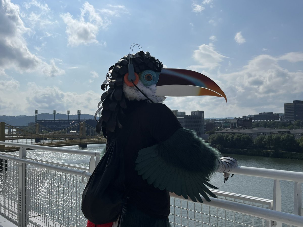 Final pictures, but if you want to see more, check out my Instagram! (it’s <a href="/busmans_birds/">Busman</a> just like on here!)