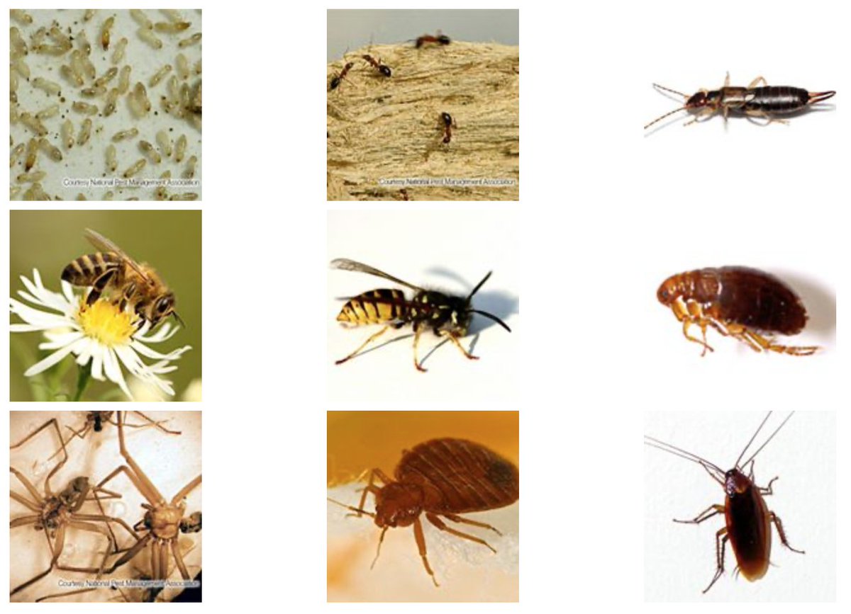 SHSPestControl's tweet image. Check out our blog post "Common Pests in July"...  buff.ly/3px6WdI