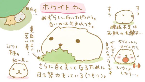 カピバラさん【公式】 on X: 