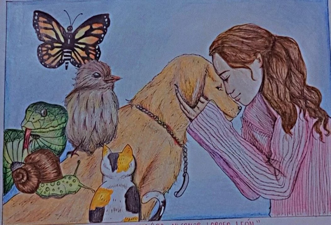 EmilyPucha's tweet image. 🐣