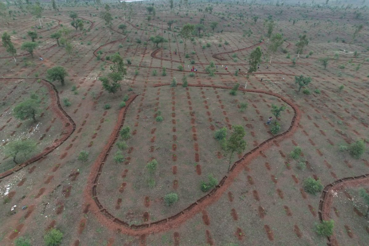 BariaForest's tweet photo. Advance work and SMC work  in @  Navagam forest of Dahod range,Baria forest Division Baria Dist.Dahod https://t.co/W4xWQAm2wn