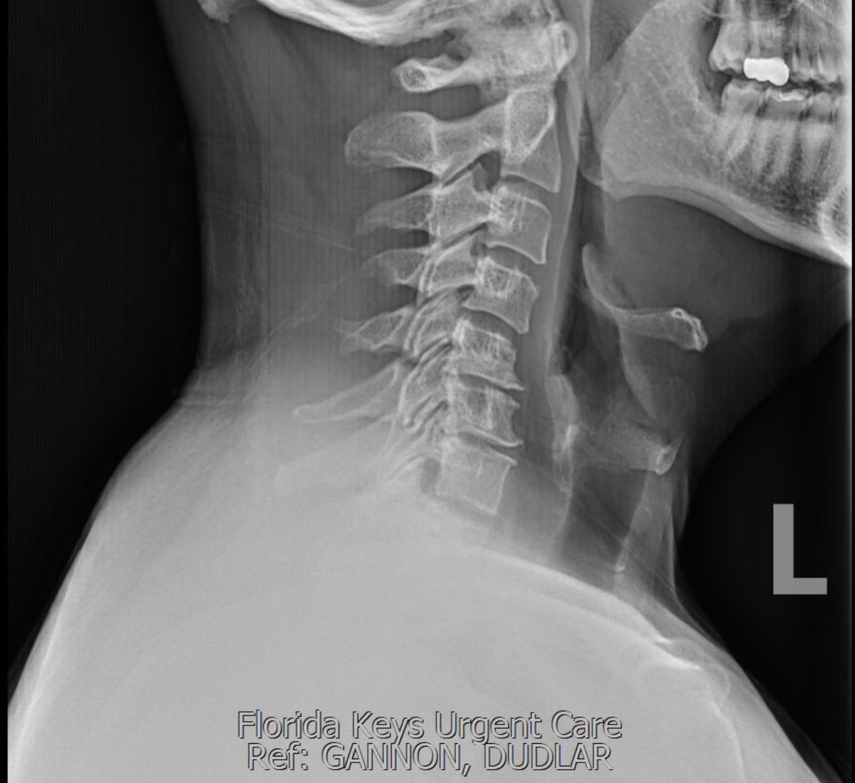 Gay of Hormuz tweet media