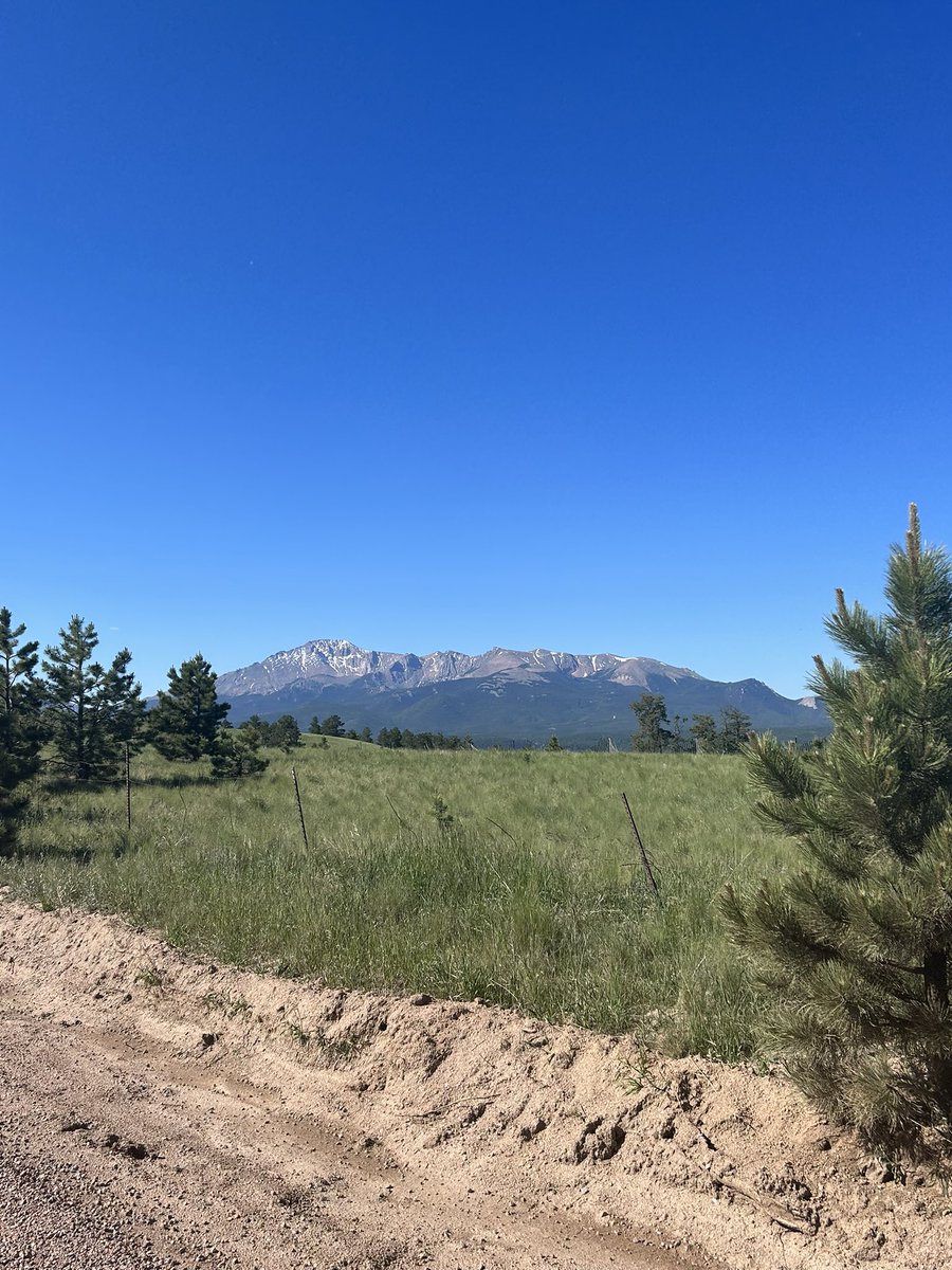 E_Sil25's tweet photo. Our first hike in Colorado was fun but tiring 4 miles for the first one with two toddlers ☺️ https://t.co/ywJ5KdZ4xD