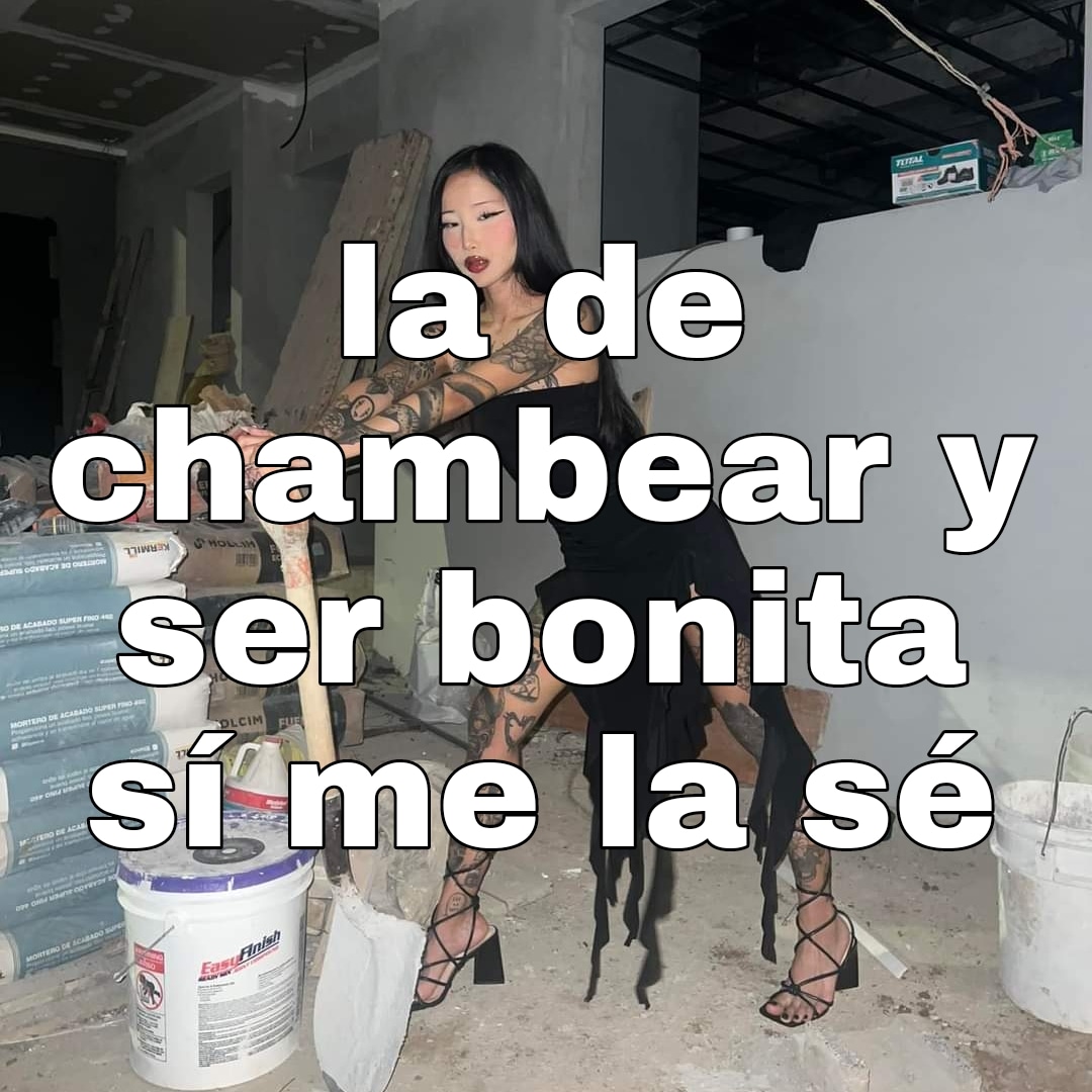 lamiradatrans's tweet photo. https://t.co/HlNDcEXwiv