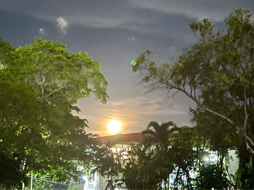 sidebarcantina's tweet photo. Full moon rising over Miami! 🌕🥰 Thank you, @Pop_My_Culture for always loving the sexy side of nerds! If you post any moon pics of the #SuperBuckMoon tonight, I would love to see them!  PLEASEEEE tag @sidebarcantina !!! Thanks!! ~Lunyr Grl 🌕 https://t.co/E9RT7EEJBR