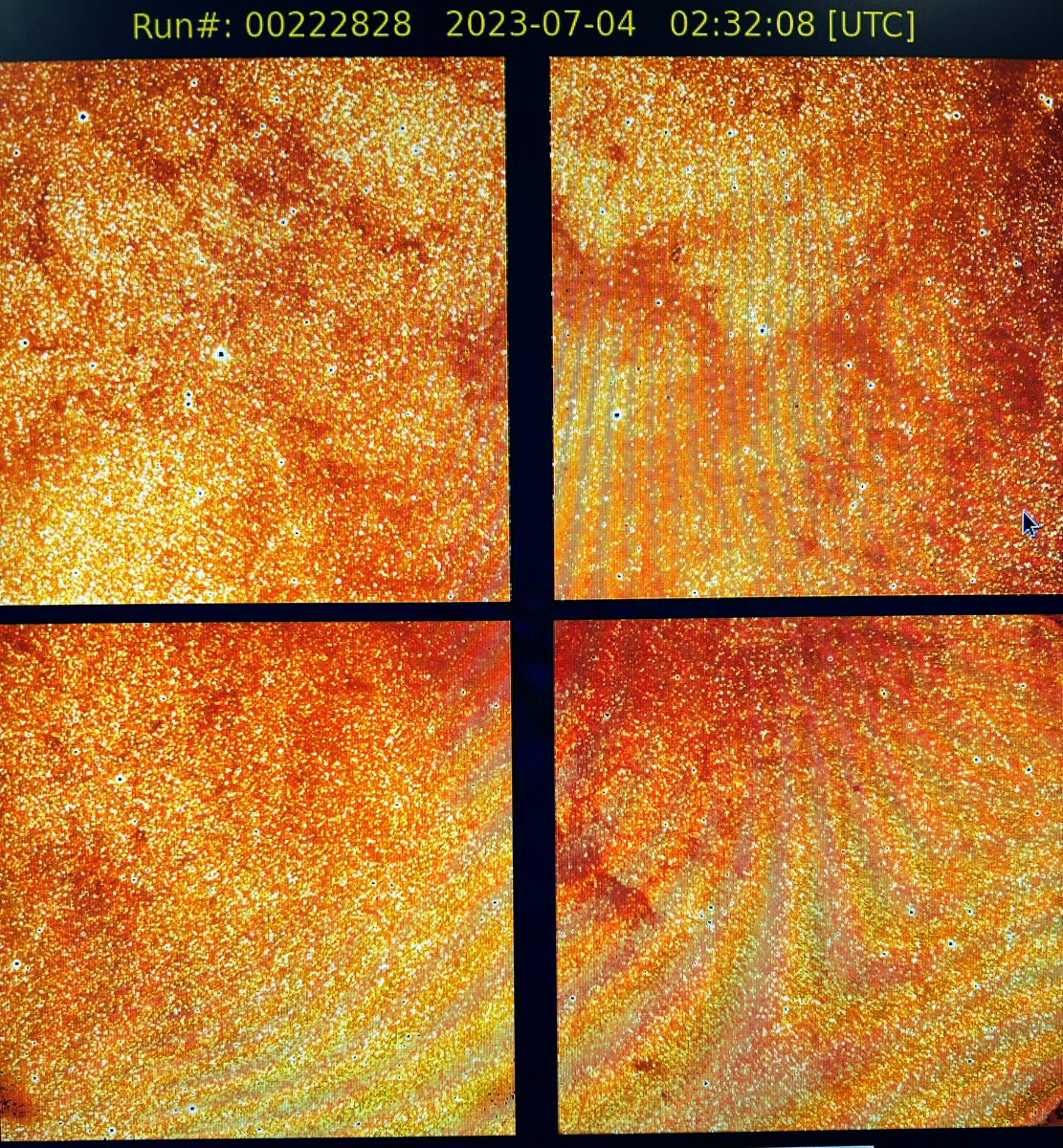 Shota Miyazaki tweet media