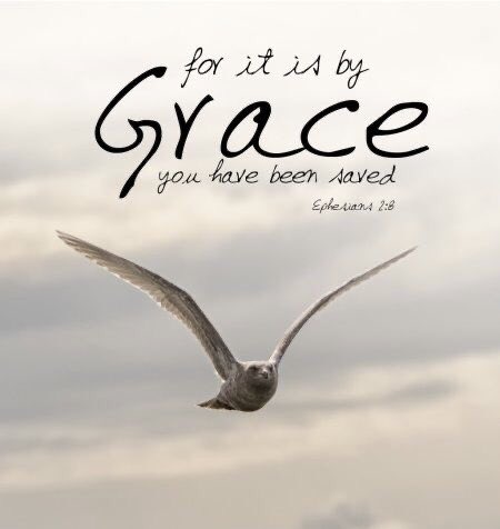 For it is by grace you have been saved, through faith—and this is not from yourselves, it is the gift of God— Eph.2.8