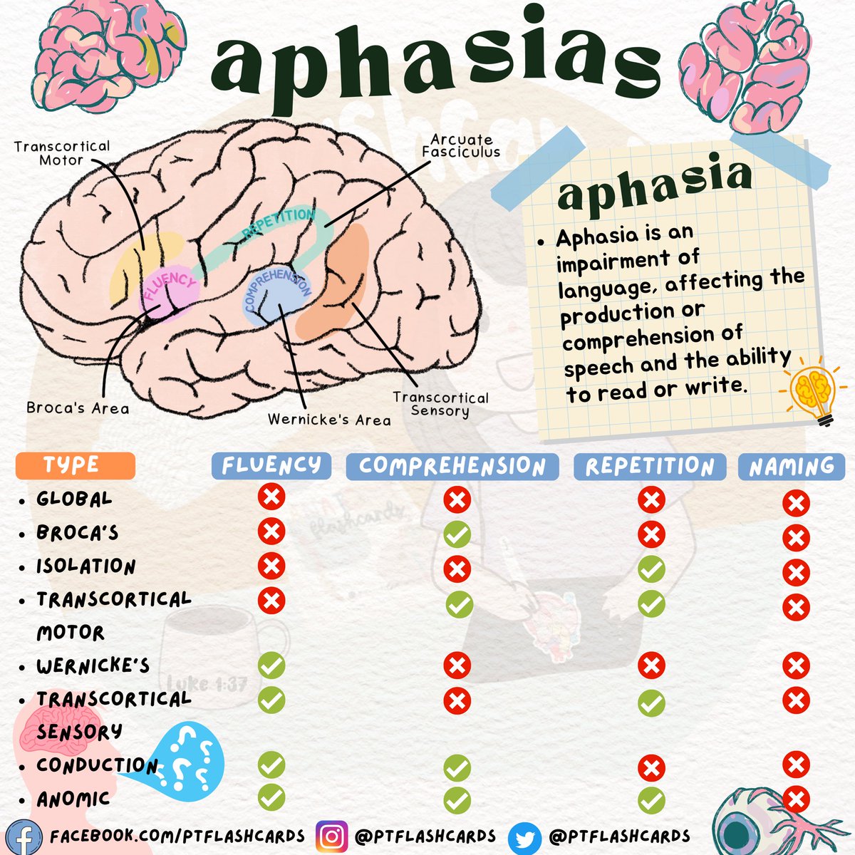 PTFlashcards's tweet photo. APHASIA 🧠

#Aphasias #PhysicalTherapy #PTknows #PTstudygram #MedicalFacts #Studygram #PTreviews #Medicine #Medstudent #Nursing #Occupationaltherapy #medicalstudent #studymaterials https://t.co/tDZdVxaOPP