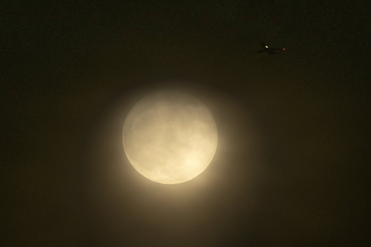JackLinFLL's tweet photo. Tonight's #SuperBuckMoon gave me a very short glimpse in Fort Lauderdale through the stormy sky with a jet out of MIA almost transiting @StormHour @ThePhotoHour #BuckMoon #Supermoon https://t.co/ZC9409Ckxo
