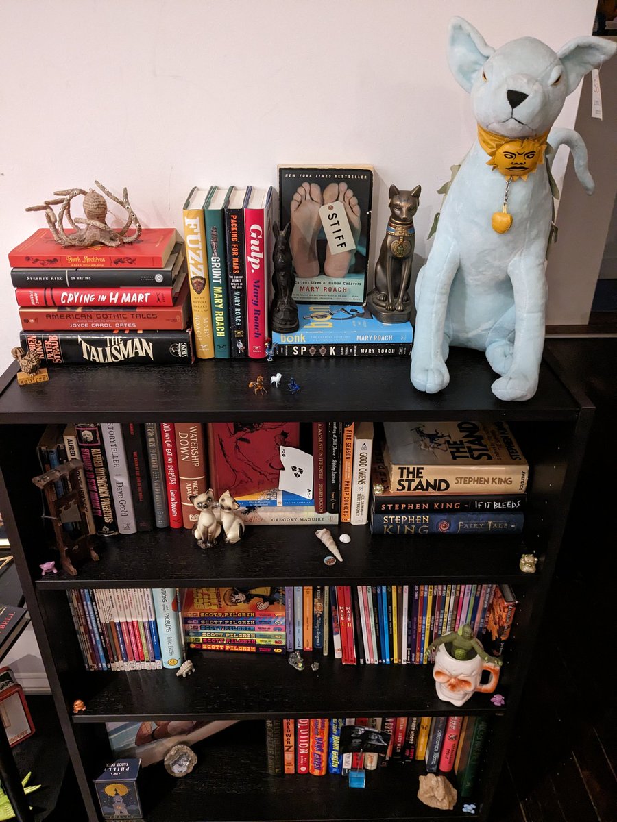 Squirrelly Girl tweet media