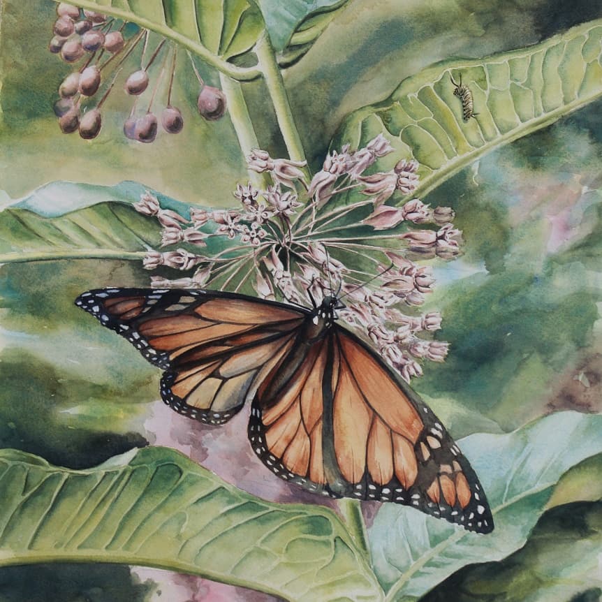 Amy Browning (@AmyBrowningArt) / Posts / X