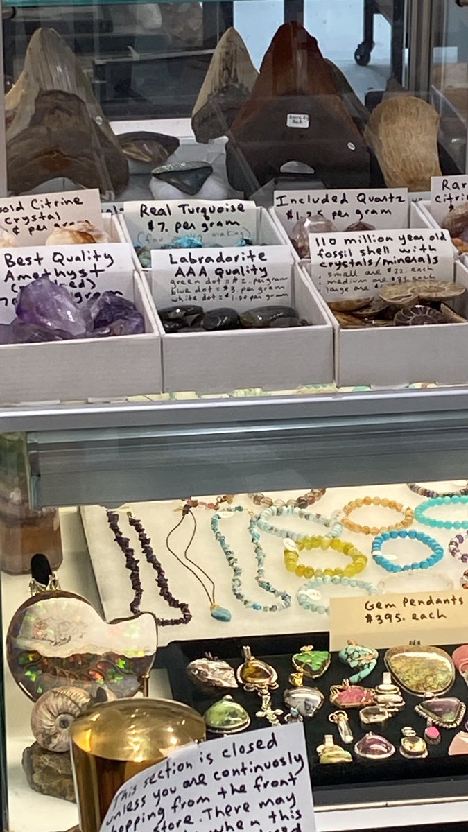 IsCosmic's tweet image. They getting mega stones for dogs now