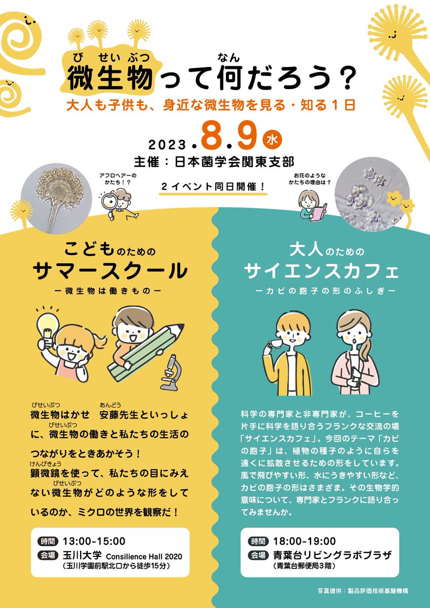 manabudesign's tweet photo. ／
大人も子供も、
身近な微生物を見る・知るイベント👾
＼

自由研究にもピッタリ！
大人向け・子供向���どちらも専門家と一緒に微生物を観察！実は奥深い「微生物」に詳しくなれる1日✨

詳細は画像をご覧ください🍶
お申し込みURLはリプ欄へ⏬

 #青葉台リビングラボ
 #自由研究 #サイエンスカフェ https://t.co/y3ht5WMV2A