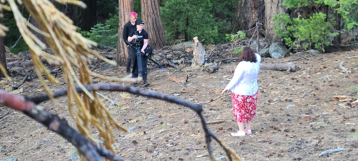 CyclamenFilms's tweet photo. Some STILL pick up shots in the mountains last night! 💕 Thanks to my awesome crew for taking the drive and roughing it a little🌲Workin hard. 

#stillshortfilm #cyclamenfilms #forest #miscarriageawareness #shortfilm #womeninfilm https://t.co/RaJzuuKvzy