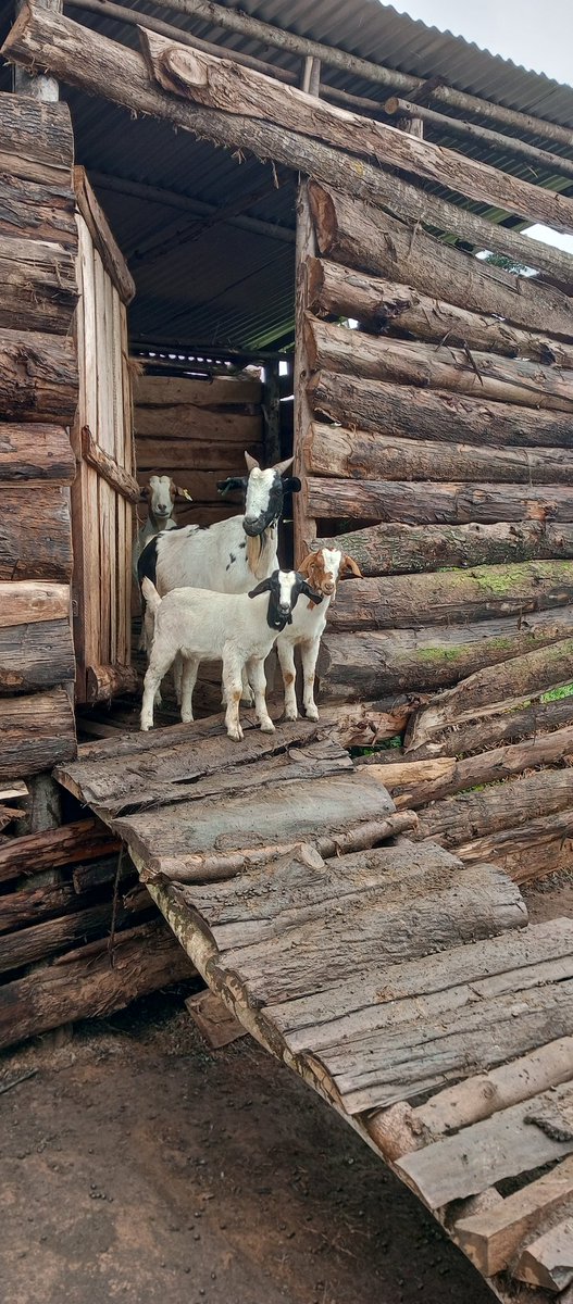 We mean business

Follow us