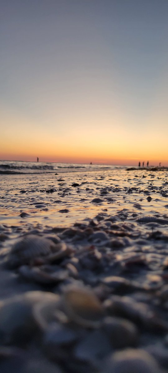 TaylorG1911's tweet photo. Sunset https://t.co/KMpkMCw9YS