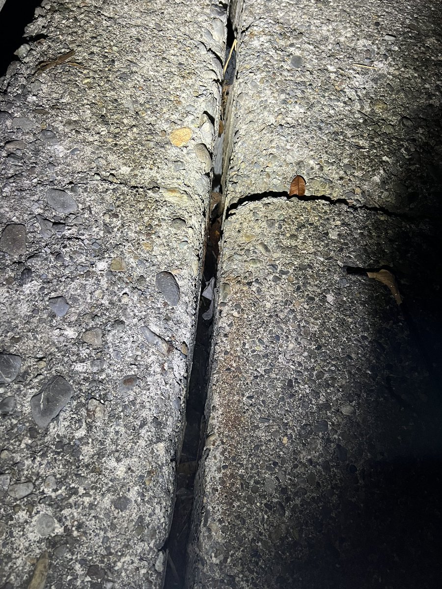 わいや tweet media