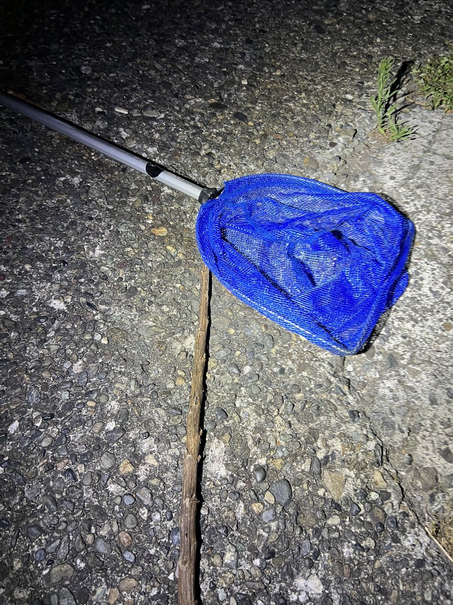 わいや tweet media