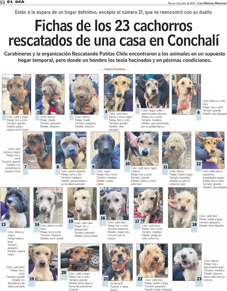 Esto sí que es importante de compartir 😌