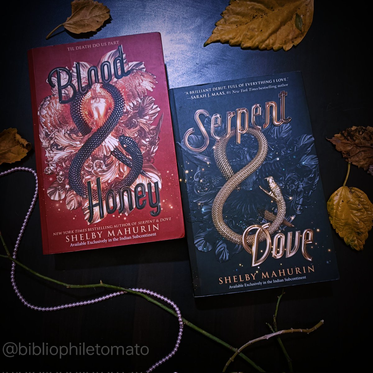 Ruchi09410165's tweet photo. Dive into the mesmerizing world of 'Serpent and Dove' with its thrilling sequel, 'Blood and Honey.' Prepare for a heart-pounding journey❣️
#fantasybooks #booktwt #BookReview #shelbymahurin 
#serpentanddove #bloodandhoney https://t.co/zioN0kKofA
