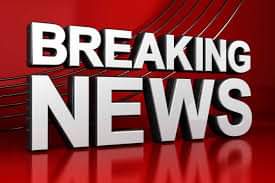 Elizabeth Albert tweet media