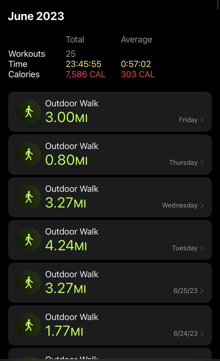 shenetworks tweet media