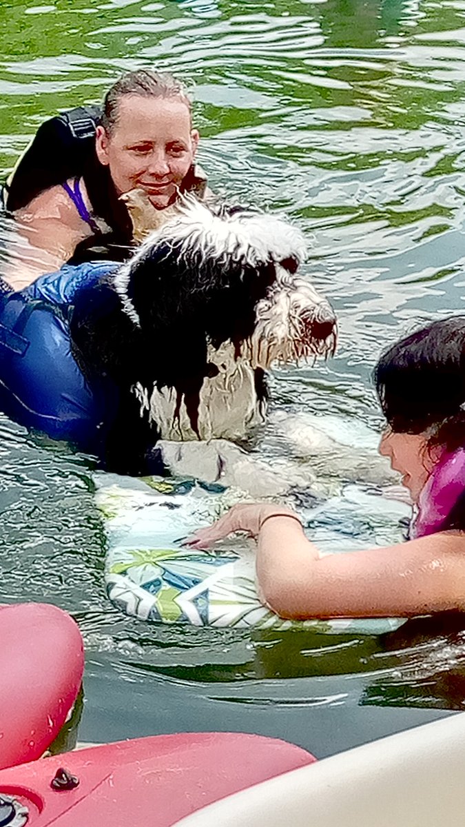 Bears first time in the water and he loved riding on the boogie board. What a joyous time I'm having with Kim and my grandchildren. ⛱️💞🛶