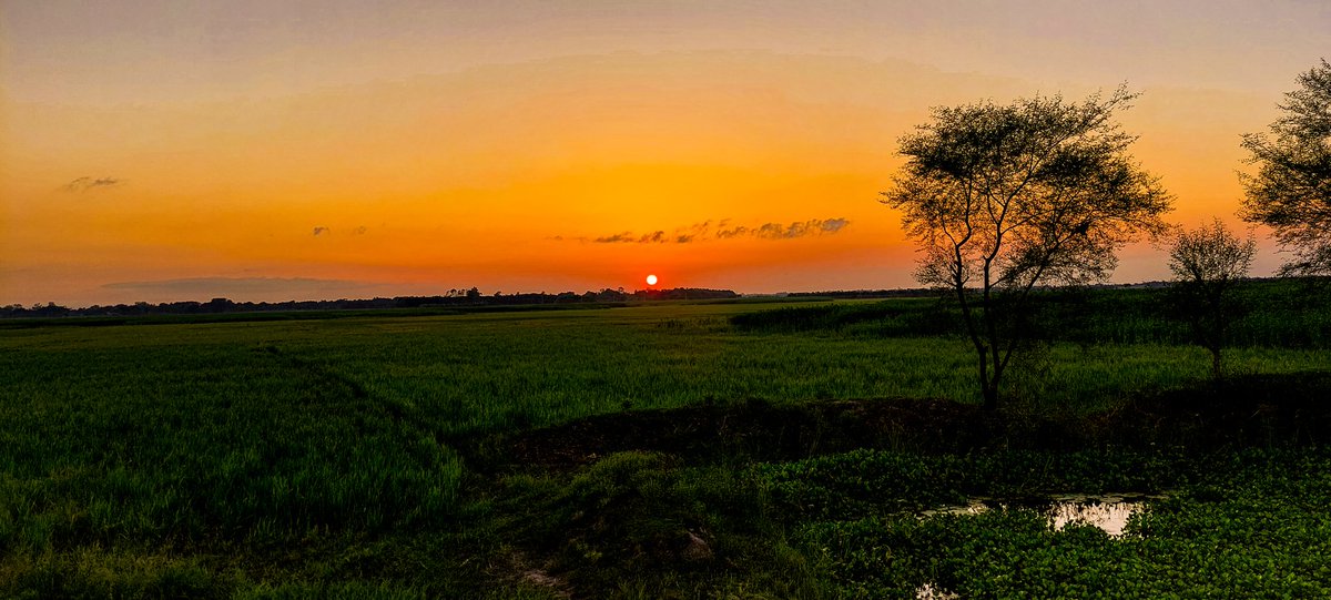 imratulhossain's tweet photo. গোধূলি- Twilight 
#NaturePhotography #nature #twitter #photography #photooftheday #instagood #sunsetphotography #Twilight https://t.co/MnKG5fpM8o