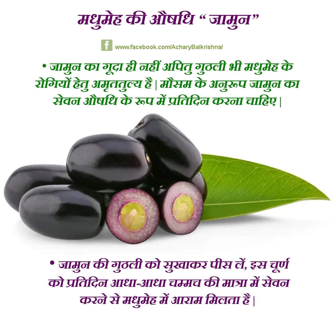 मधुमेह की औषधि “ जामुन”