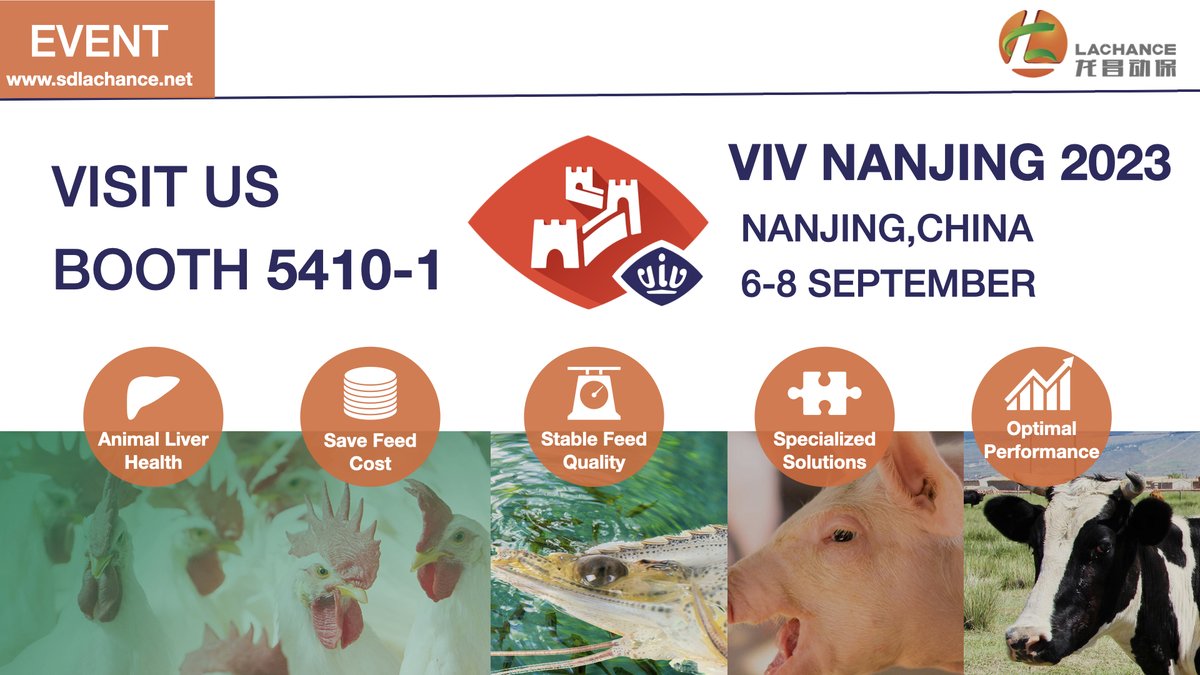 LACHANCE2004's tweet photo. This September, #LachanceGroup will again be one of the exhibitors at VIV Nanjing 2023
📷LachanceGroup Booth: 5410-1
📷Location:Nanjing , China
📷 Date: 6-8 September
#2023VIV #VIVChina #feedindustry #animalnutrition #feedadditive #feedquality #savecost #growthperformance https://t.co/sp5laYZhv3