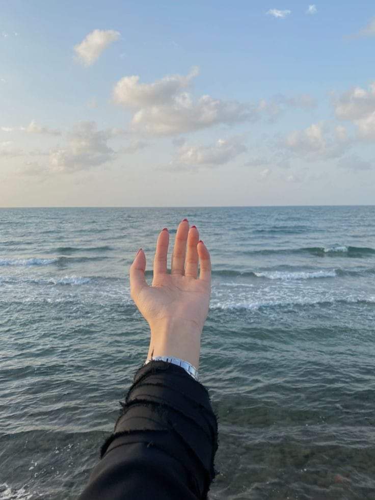 جمال الصباح في التوكل على الله وبساطة الروح ورقة الشعور 
 ومعانقة الحياة بكل ما فيك من سرور. 

صباح الخير 😍...