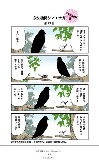 【✨隔週 月～金/Season3 配信中✨】 
   
あざといシマエナガと賢いカラス 第17羽  
#シマエナガとカラスさん #永久機関シマエナガ 