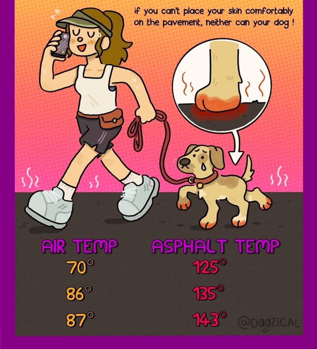 Aspin Philippine Animal Welfare (@aspinwelfare) on Twitter photo 