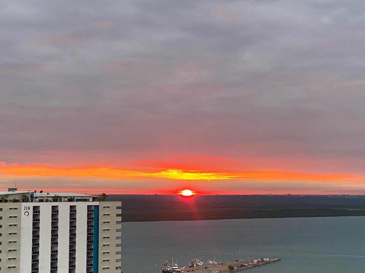 Ecology & Restoration Australia tweet media