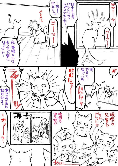 しぬやつ猫=^・ω・^=クソデカおとうと目白押し〜🟠も添えて〜 