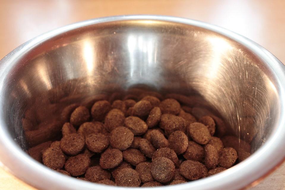 BlogDogLovers's tweet photo. Fat Puppies’ metabolisms are less effective in producing some fatty acids. So, their consumption is crucial for the healthy development of the neurological syst - https://t.co/DPHxWDrwXz https://t.co/PHjz4l47pV