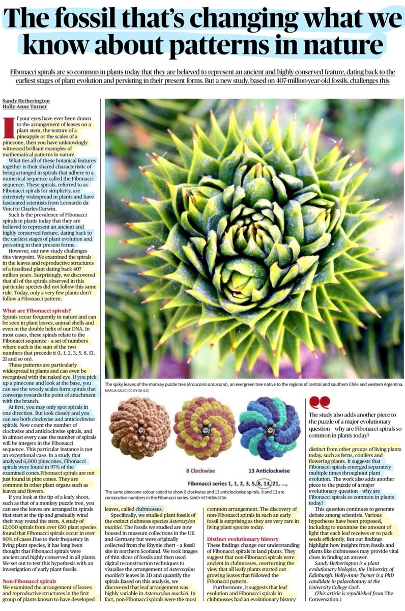 imRavikantYadav's tweet image. &apos;The Fossil that&apos;s changing what we know about patterns in Nature- Fibonacci Spiral&apos;
:Details 

#FibonacciSpirals #plants #fossils #evolution #clubmosses
#nature #ecology #Botany 

#UPSC 

Source: TH