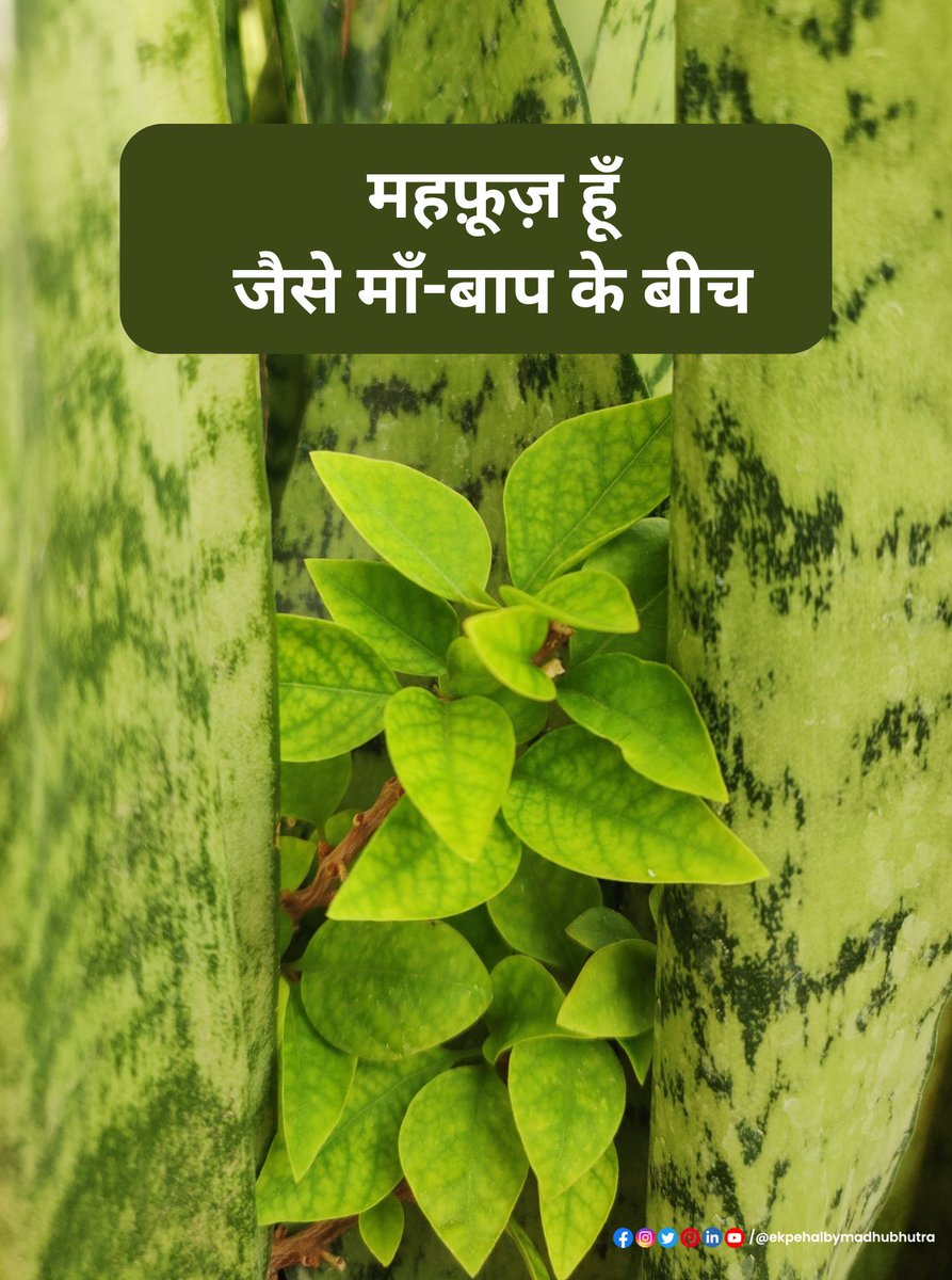 bhutramadhu's tweet photo. महफ़ूज़ हूँ माँ-बाप के बीच ❤️❤️

प्रकृति भी बताती है
मन के भाव दर्शाती है।
 ✍️ #ekpehalbymadhubhutra #EkPehal #nature #writer #lekhni #writersoftwitter #safe #Parents https://t.co/KarUaVLatb