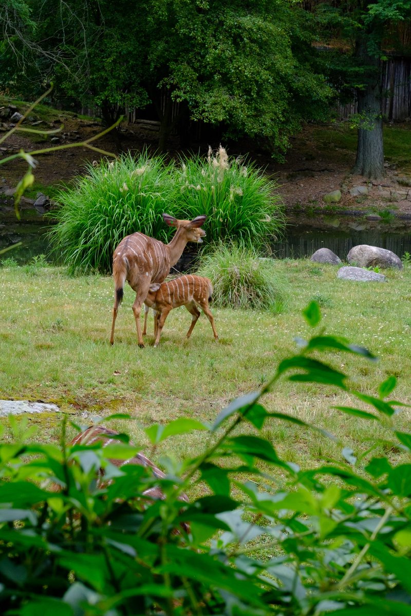 Michael Archambault tweet media