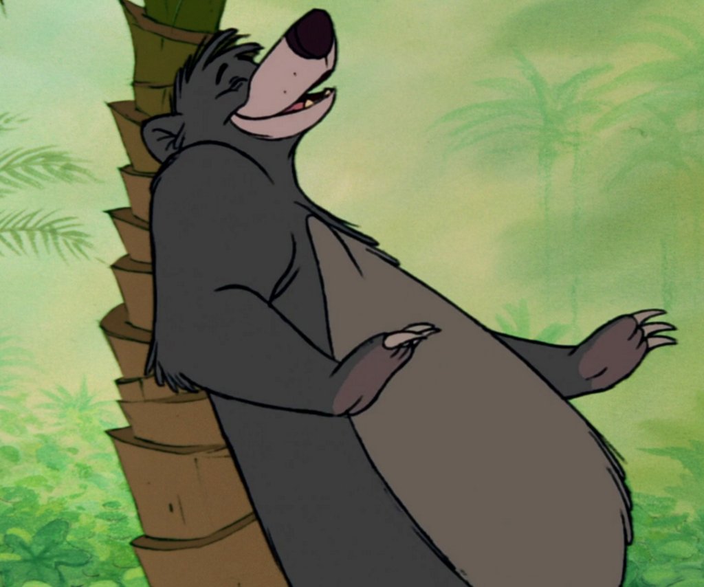 Marcfabregatb's tweet photo. Right here, this is the spot!! 🐻 https://t.co/hNn79XaH3L
