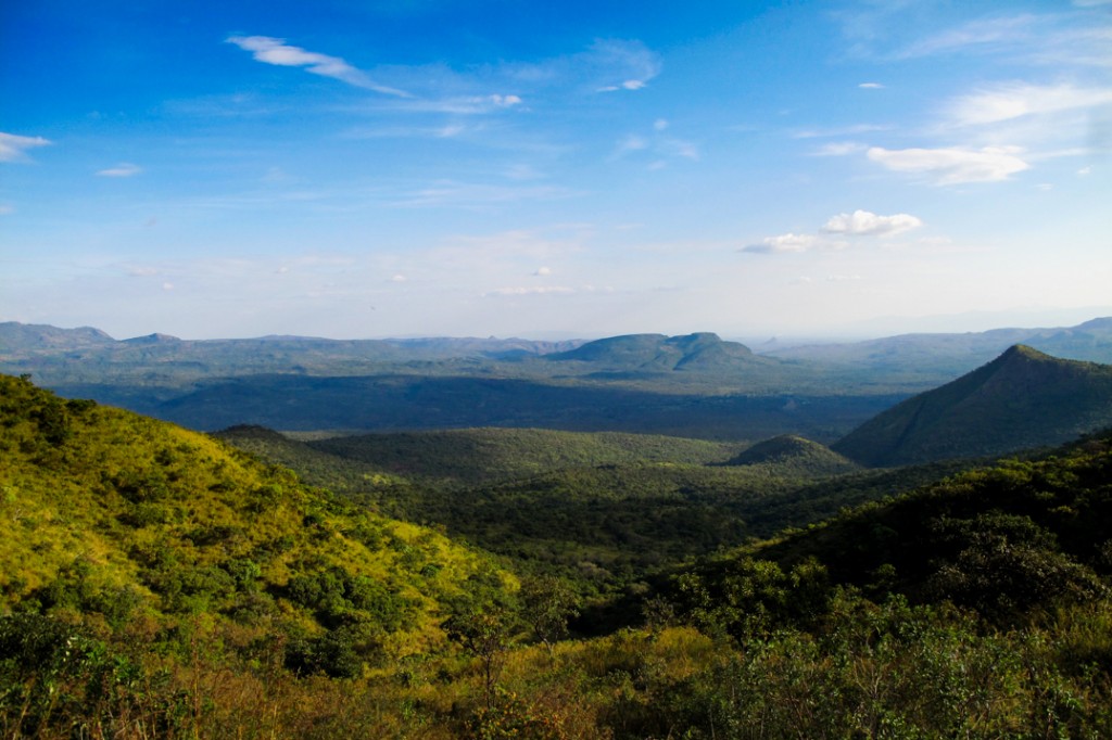 Project #03 is coming soon!
Join us in our upcoming adventures to Gambella National Park!
#tourism #infrastructure #nationalpark #wildlife #safariadventures #Ethiopiantourism #VisitEthiopia 
@Exoticethiopian @lonelyplanet @flyethiopian @TravelLeisure