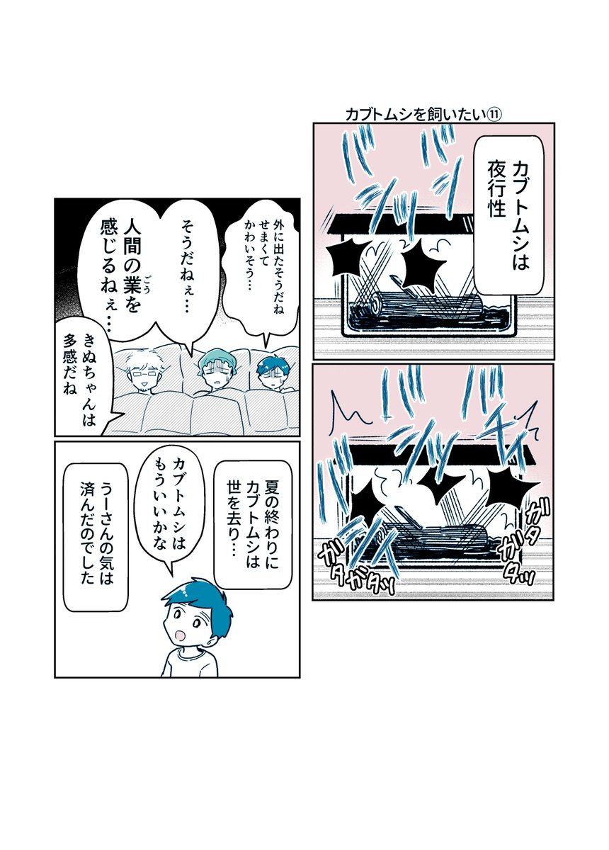 カブトムシは夜行性 #カブトムシを飼いたい ~fin~ #コミックエッセイ