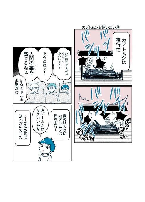カブトムシは夜行性 #カブトムシを飼いたい ~fin~ #コミックエッセイ
