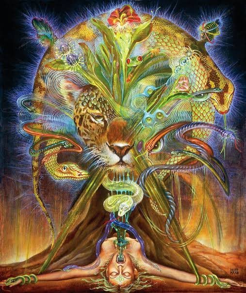 Teotecnia's tweet photo. No hay transformación sin destrucción, no hay renacimiento sin muerte, no hay cambio sin incomodidad, no hay evolución desde el confort. Cuando pedimos por la Tierra y la Humanidad hay que tener en cuenta que la medicina será amarga. https://t.co/4VoarcetvX