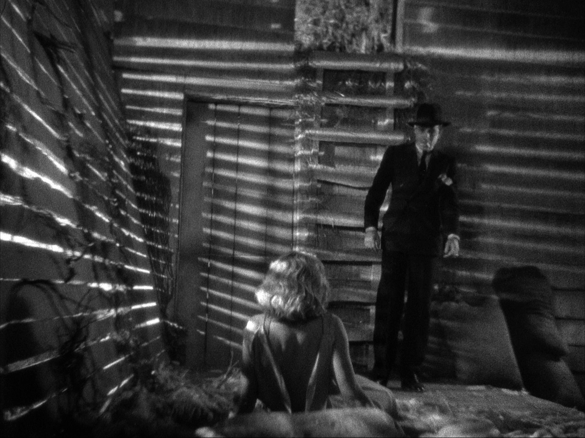 Stone Gasman tweet media