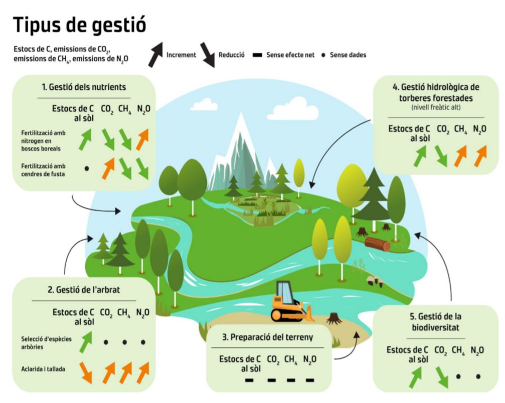 CEFCat's tweet photo. 'Els sòls forestals poden impulsar la mitigació del canvi climàtic amb una gestió dirigida'
Consulta el PolicyBrief1 del projecte @holisoils ja disponible traduït:
Cat -> https://t.co/1VTvDzPloD
Esp -> https://t.co/rUZWNqmV6E https://t.co/Bwpq6vq7kB