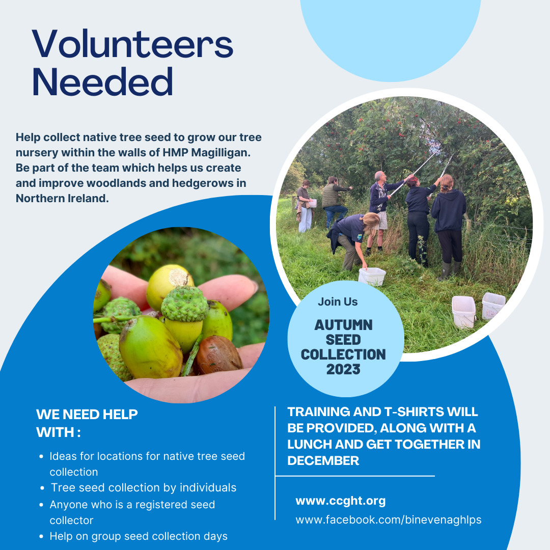 Embark on a new activity or have you got experience to share in native tree seed collecting!
You can get involved.
You can read more about it here buff.ly/43Qshhg 
You can make a difference to your local environment.

#nativetrees #conservation #treenursery #ccght #aonb